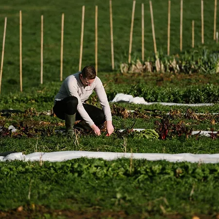 Hotel Chateau St Gerlach - Oostwegel Collection, Member Of Relais And Chateaux