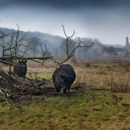 Château St. Gerlach