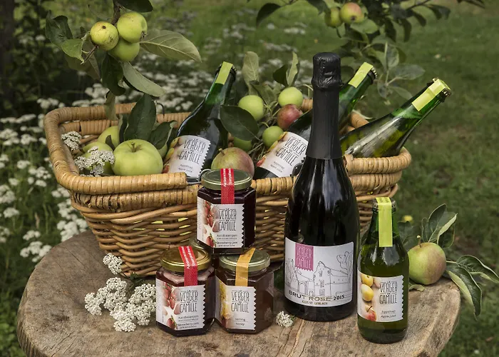 Chateau St Gerlach - Oostwegel Collection, Member Of Relais And Chateaux מלון Valkenburg aan de Geul