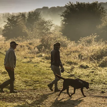 Château St. Gerlach Hotel