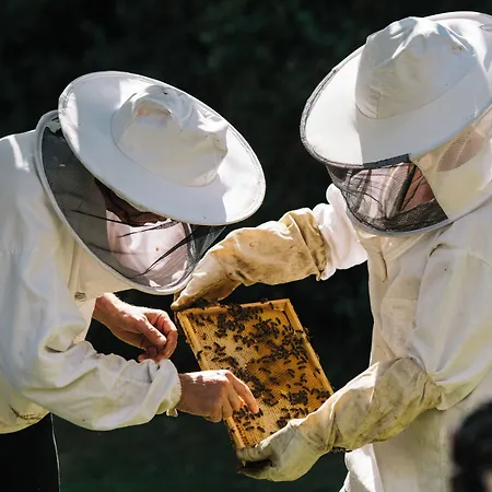 Chateau St Gerlach - Oostwegel Collection, Member Of Relais And Chateaux 5* Valkenburg aan de Geul