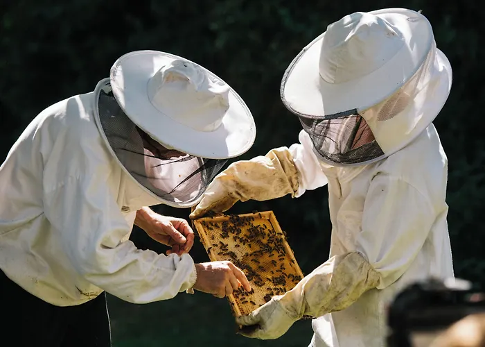 Château St. Gerlach 5* Valkenburg aan de Geul