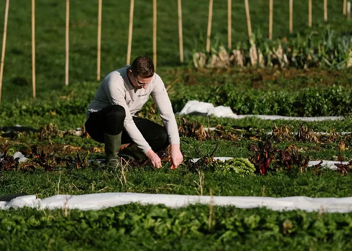 Hotel Château St Gerlach - Oostwegel Collection, Member Of Relais&châteaux