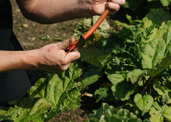 Château St Gerlach - Oostwegel Collection, Member Of Relais&châteaux 5* Valkenburg aan de Geul