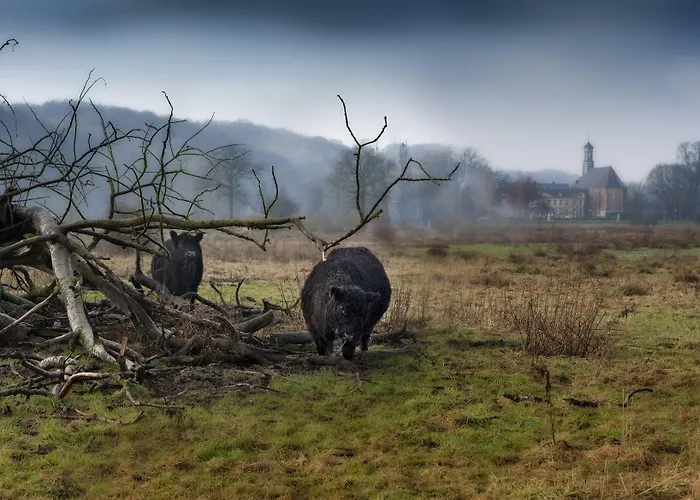 Château St Gerlach - Oostwegel Collection, Member Of Relais&châteaux
